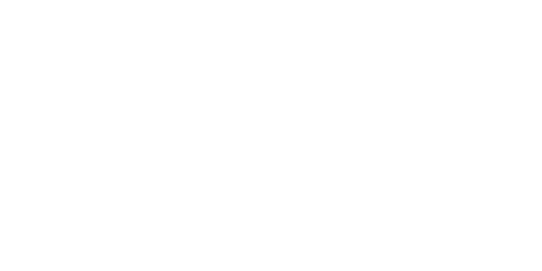 The Pocket Coach